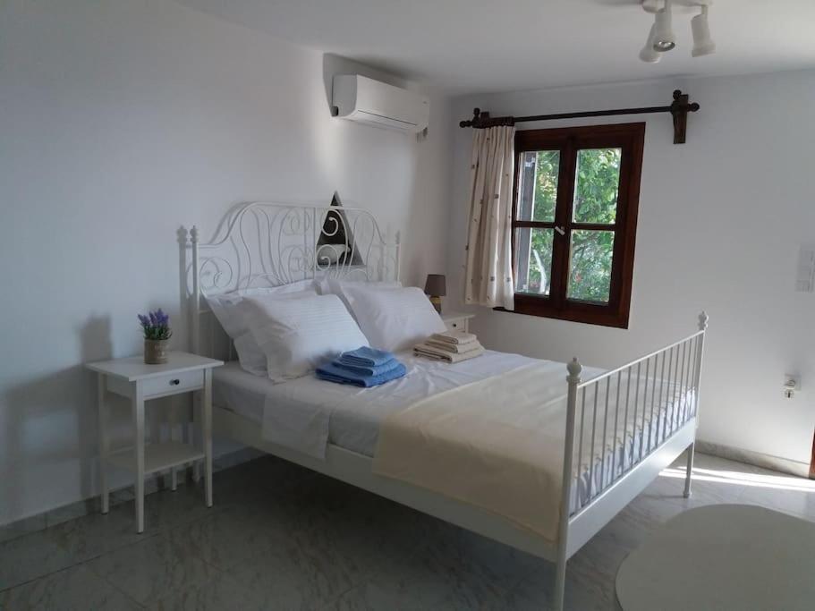 Grandpa Simos' Traditional Guest House Agios Romanos Exterior photo