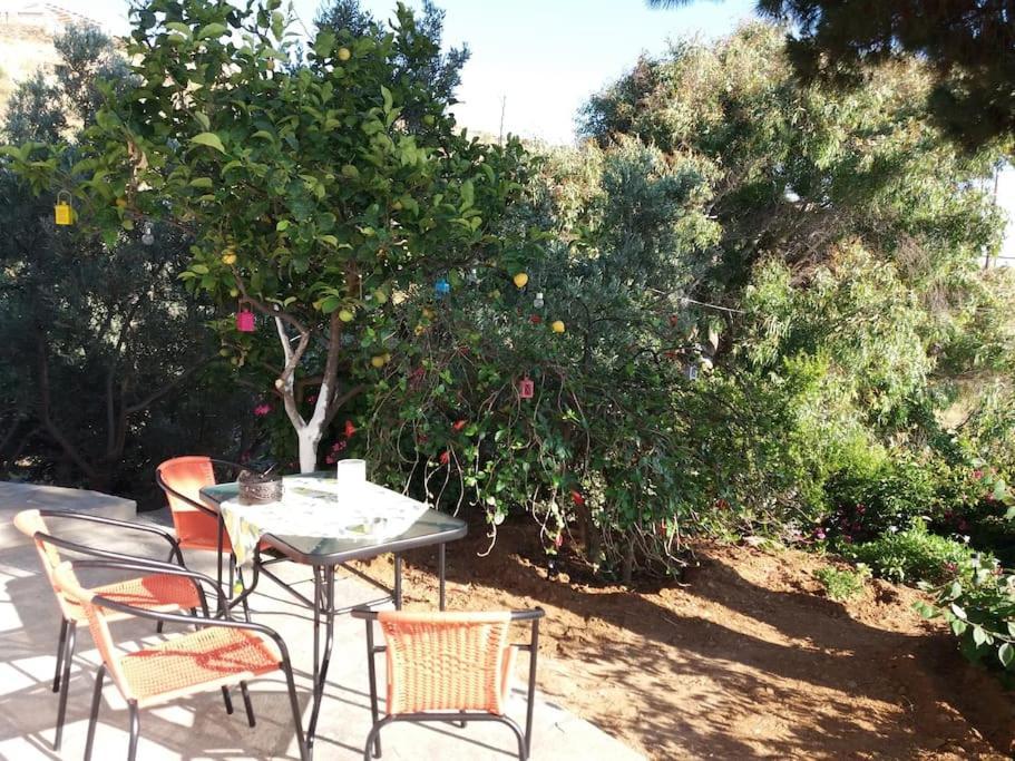 Grandpa Simos' Traditional Guest House Agios Romanos Exterior photo
