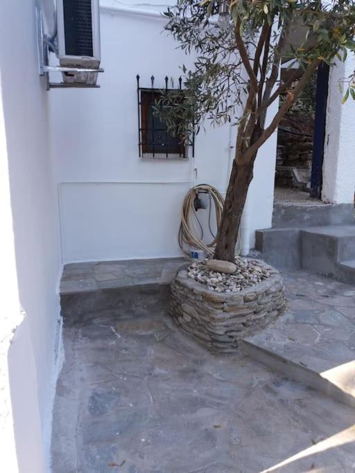 Grandpa Simos' Traditional Guest House Agios Romanos Exterior photo