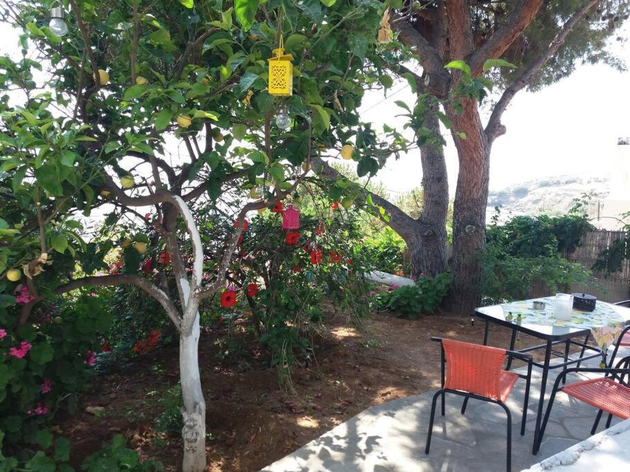 Grandpa Simos' Traditional Guest House Agios Romanos Exterior photo
