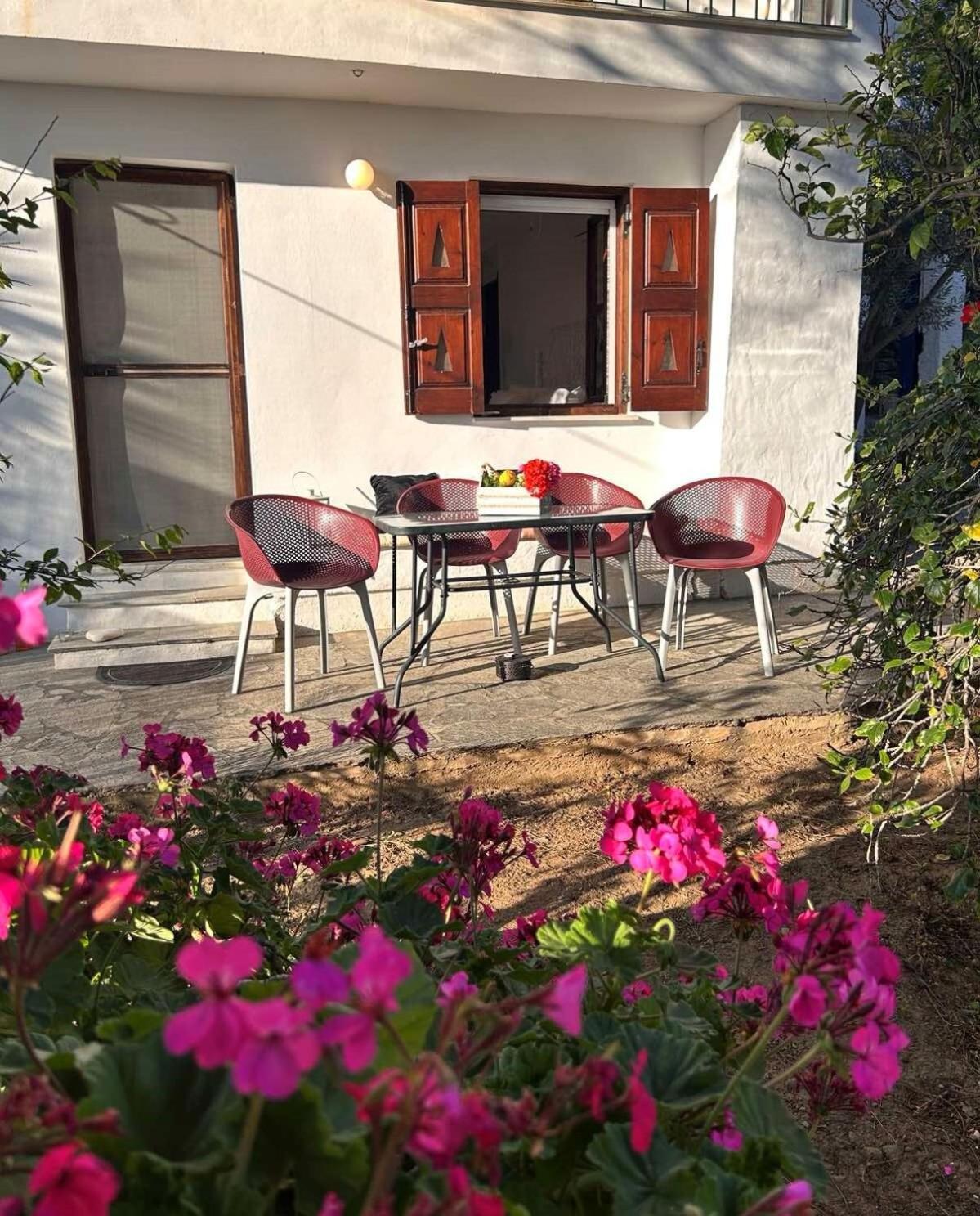 Grandpa Simos' Traditional Guest House Agios Romanos Exterior photo