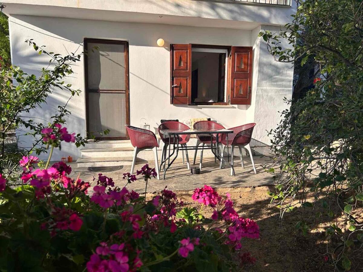 Grandpa Simos' Traditional Guest House Agios Romanos Exterior photo