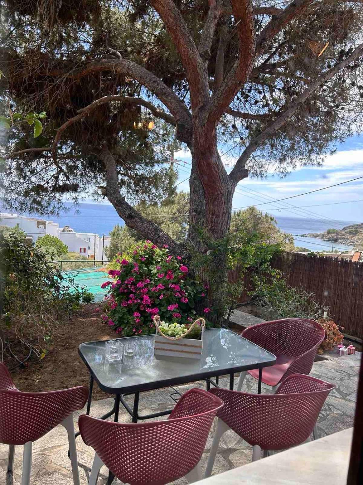 Grandpa Simos' Traditional Guest House Agios Romanos Exterior photo